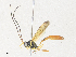  ( - CBG-A36820-E06)  @11 [ ] CreativeCommons - Attribution Share - Alike (2024) CBG Photography Group Centre for Biodiversity Genomics