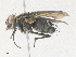  ( - CBG-A36821-F02)  @11 [ ] CreativeCommons - Attribution Share - Alike (2024) CBG Photography Group Centre for Biodiversity Genomics