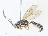  ( - CBG-A36821-F11)  @11 [ ] CreativeCommons - Attribution Share - Alike (2024) CBG Photography Group Centre for Biodiversity Genomics