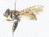  ( - CBG-A38410-G12)  @11 [ ] CreativeCommons - Attribution Share - Alike (2024) CBG Photography Group Centre for Biodiversity Genomics