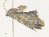 ( - CBG-A38411-E02)  @11 [ ] CreativeCommons - Attribution Share - Alike (2024) CBG Photography Group Centre for Biodiversity Genomics