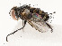  ( - CBG-A51909-D11)  @11 [ ] CreativeCommons - Attribution Share - Alike (2024) CBG Photography Group Centre for Biodiversity Genomics