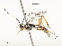  ( - CBG-A51909-E04)  @11 [ ] CreativeCommons - Attribution Share - Alike (2024) CBG Photography Group Centre for Biodiversity Genomics