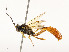  ( - CBG-A51909-E10)  @11 [ ] CreativeCommons - Attribution Share - Alike (2024) CBG Photography Group Centre for Biodiversity Genomics