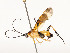  ( - CBG-A51909-F11)  @11 [ ] CreativeCommons - Attribution Share - Alike (2024) CBG Photography Group Centre for Biodiversity Genomics