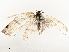  ( - CBG-A51911-A01)  @11 [ ] CreativeCommons - Attribution Share - Alike (2024) CBG Photography Group Centre for Biodiversity Genomics