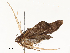  ( - CBG-A51911-F03)  @11 [ ] CreativeCommons - Attribution Share - Alike (2024) CBG Photography Group Centre for Biodiversity Genomics