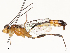  ( - CBG-A51912-C02)  @11 [ ] CreativeCommons - Attribution Share - Alike (2024) CBG Photography Group Centre for Biodiversity Genomics