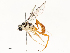  ( - CBG-A51912-D08)  @11 [ ] CreativeCommons - Attribution Share - Alike (2024) CBG Photography Group Centre for Biodiversity Genomics