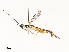  ( - CBG-A51912-F04)  @11 [ ] CreativeCommons - Attribution Share - Alike (2024) CBG Photography Group Centre for Biodiversity Genomics