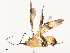  ( - CBG-A53597-B12)  @11 [ ] CreativeCommons - Attribution Share - Alike (2024) CBG Photography Group Centre for Biodiversity Genomics