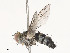  ( - CBG-A53597-F07)  @11 [ ] CreativeCommons - Attribution Share - Alike (2024) CBG Photography Group Centre for Biodiversity Genomics