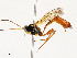  ( - CBG-A53598-A03)  @11 [ ] CreativeCommons - Attribution Share - Alike (2024) CBG Photography Group Centre for Biodiversity Genomics