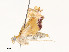  ( - CBG-A53598-E09)  @11 [ ] CreativeCommons - Attribution Share - Alike (2024) CBG Photography Group Centre for Biodiversity Genomics
