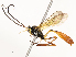 ( - CBG-A53599-F03)  @11 [ ] CreativeCommons - Attribution Share - Alike (2024) CBG Photography Group Centre for Biodiversity Genomics