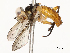  ( - CBG-A53599-H06)  @11 [ ] CreativeCommons - Attribution Share - Alike (2024) CBG Photography Group Centre for Biodiversity Genomics