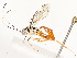  ( - CBG-A53600-B10)  @11 [ ] CreativeCommons - Attribution Share - Alike (2024) CBG Photography Group Centre for Biodiversity Genomics