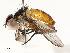  ( - CBG-A53600-D10)  @11 [ ] CreativeCommons - Attribution Share - Alike (2024) CBG Photography Group Centre for Biodiversity Genomics
