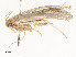  ( - CBG-A53600-G01)  @11 [ ] CreativeCommons - Attribution Share - Alike (2024) CBG Photography Group Centre for Biodiversity Genomics