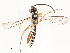  ( - CBG-A53600-G04)  @11 [ ] CreativeCommons - Attribution Share - Alike (2024) CBG Photography Group Centre for Biodiversity Genomics