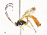  ( - CBG-A53601-C03)  @11 [ ] CreativeCommons - Attribution Share - Alike (2024) CBG Photography Group Centre for Biodiversity Genomics