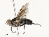  ( - CBG-A54419-A08)  @11 [ ] CreativeCommons - Attribution Share - Alike (2024) CBG Photography Group Centre for Biodiversity Genomics