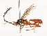  ( - CBG-A54419-B06)  @11 [ ] CreativeCommons - Attribution Share - Alike (2024) CBG Photography Group Centre for Biodiversity Genomics
