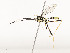  ( - CBG-A54419-E01)  @11 [ ] CreativeCommons - Attribution Share - Alike (2024) CBG Photography Group Centre for Biodiversity Genomics
