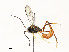  ( - CBG-A54419-H08)  @11 [ ] CreativeCommons - Attribution Share - Alike (2024) CBG Photography Group Centre for Biodiversity Genomics