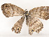  ( - CBG-A54441-E02)  @11 [ ] CreativeCommons - Attribution Share - Alike (2024) CBG Photography Group Centre for Biodiversity Genomics