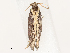  ( - CBG-A54442-A05)  @11 [ ] CreativeCommons - Attribution Share - Alike (2024) CBG Photography Group Centre for Biodiversity Genomics
