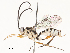 ( - CBG-A53602-B02)  @11 [ ] CreativeCommons - Attribution Share - Alike (2024) CBG Photography Group Centre for Biodiversity Genomics
