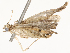  ( - CBG-A53602-E12)  @11 [ ] CreativeCommons - Attribution Share - Alike (2024) CBG Photography Group Centre for Biodiversity Genomics