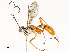  ( - CBG-A53603-G12)  @11 [ ] CreativeCommons - Attribution Share - Alike (2024) CBG Photography Group Centre for Biodiversity Genomics