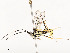  ( - CBG-A53604-B07)  @11 [ ] CreativeCommons - Attribution Share - Alike (2024) CBG Photography Group Centre for Biodiversity Genomics