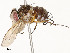  ( - CBG-A53604-H04)  @11 [ ] CreativeCommons - Attribution Share - Alike (2024) CBG Photography Group Centre for Biodiversity Genomics