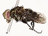  ( - CBG-A53604-H05)  @11 [ ] CreativeCommons - Attribution Share - Alike (2024) CBG Photography Group Centre for Biodiversity Genomics