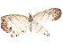  ( - CBG-A53604-H09)  @11 [ ] CreativeCommons - Attribution Share - Alike (2024) CBG Photography Group Centre for Biodiversity Genomics