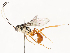  ( - CBG-A54418-E01)  @11 [ ] CreativeCommons - Attribution Share - Alike (2024) CBG Photography Group Centre for Biodiversity Genomics