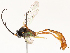  ( - CBG-A54420-G11)  @11 [ ] CreativeCommons - Attribution Share - Alike (2024) CBG Photography Group Centre for Biodiversity Genomics