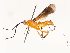  ( - CBG-A54420-H10)  @11 [ ] CreativeCommons - Attribution Share - Alike (2024) CBG Photography Group Centre for Biodiversity Genomics