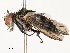  ( - CBG-A54444-A09)  @11 [ ] CreativeCommons - Attribution Share - Alike (2024) CBG Photography Group Centre for Biodiversity Genomics