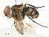  ( - CBG-A54446-E07)  @11 [ ] CreativeCommons - Attribution Share - Alike (2024) CBG Photography Group Centre for Biodiversity Genomics