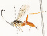  ( - CBG-A54446-G10)  @11 [ ] CreativeCommons - Attribution Share - Alike (2024) CBG Photography Group Centre for Biodiversity Genomics