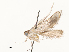  ( - CBG-A54504-B10)  @11 [ ] CreativeCommons - Attribution Share - Alike (2024) CBG Photography Group Centre for Biodiversity Genomics
