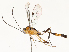  ( - CBG-A54511-D10)  @11 [ ] CreativeCommons - Attribution Share - Alike (2024) CBG Photography Group Centre for Biodiversity Genomics