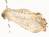  ( - CBG-A54513-B11)  @11 [ ] CreativeCommons - Attribution Share - Alike (2024) CBG Photography Group Centre for Biodiversity Genomics