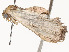  ( - CBG-A54513-C04)  @11 [ ] CreativeCommons - Attribution Share - Alike (2024) CBG Photography Group Centre for Biodiversity Genomics