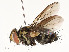  ( - CBG-A54515-E07)  @11 [ ] CreativeCommons - Attribution Share - Alike (2024) CBG Photography Group Centre for Biodiversity Genomics