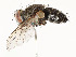  ( - CBG-A54517-C08)  @11 [ ] CreativeCommons - Attribution Share - Alike (2024) CBG Photography Group Centre for Biodiversity Genomics